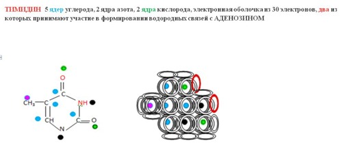 http://img-fotki.yandex.ru/get/4505/sokolik1867.0/0_3894c_3ea60cae_L.jpg