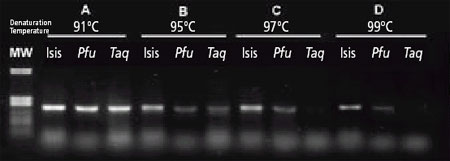 http://www.qbiogene.com/products/pcr/images/isis1.jpg