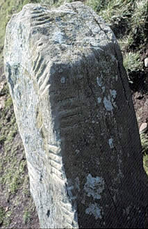 http://uponreflection.co.uk/ogham/celtic_symbols/standing_stone_003.jpg